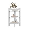 NicBex 3-Layer Open Shelf Corner Shelf Suitable for Study, Bedroom, Kitchen, Dining Room - 4 of 4