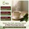 Organic Soursop Leaf Coarse Cut 1 Lbs - 3 of 4