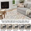Stain Resistant Non-Slip Machine Washable Area Rug with Distressed Medallion Design for High-Traffic Homes - 4 of 4