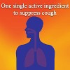Delsym Cough+ Sore Throat Liquid Honey 6 Oz - 4 of 4