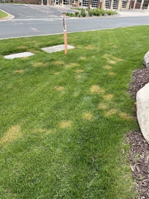 Guest review image 2 of 2, zoom in