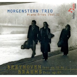 Morgenstern Trio - Piano Trios 1 (CD) - 1 of 1