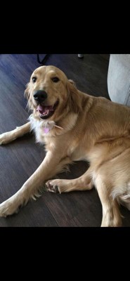 Guest review image 1 of 1, zoom in