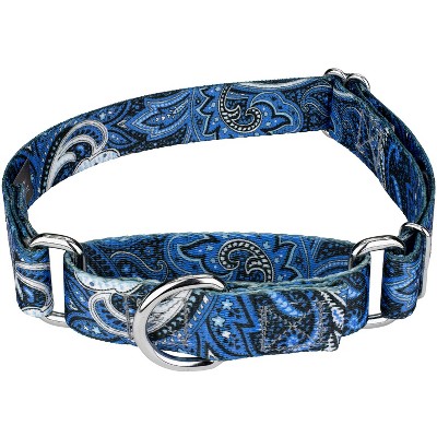 blue paisley