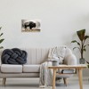 Stupell Industries Powerful Bison Grazing Foggy Rural Pasture Photography Wall Plaque Art, 15" x 10" - 3 of 4