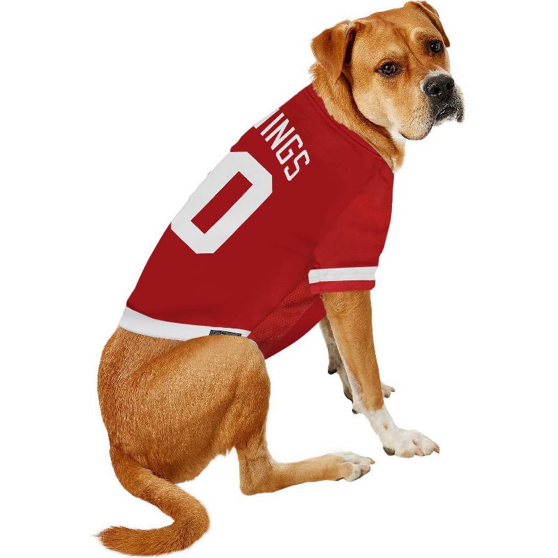 NHL Detroit Red Wings Pets Jersey, 4 of 5