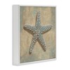 Stupell Industries Starfish Beach Objects Design, 24" x 24" - 3 of 4