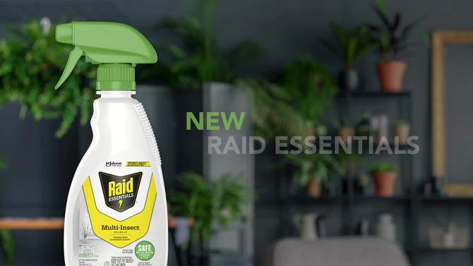 Raid Essentials Multi-Insect Killer Trigger Bottle - 12oz, 2 of 16, play video