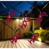 Northlight 10-Count LED Pink Flamingo Fairy Lights - Warm White - 2 of 4