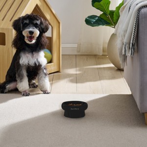 Sam's Pets Short Tulip 2.0 Pet Bowl in Glossy Black - 1 of 4