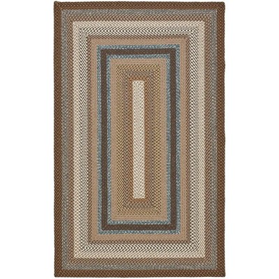 Braided BRD313 Hand Woven Area Rug - Safavieh