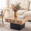 32.28"Three-dimensional Embossed Pattern Square Retro Coffee Table with 2 Drawers and MDF Base - 4 of 4