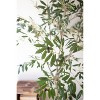 Tall Artificial Olive Tree 63"H – Decorative Greenery in Black Plastic Pot by Kalalou - 4 of 4