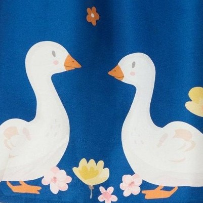 blue goose print