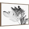 Amanti Art Tropical Velvet I - BW by Ryan Hartson Weddle Framed Canvas Wall Art - 3 of 4