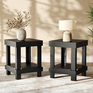 Tribesigns 2-Tier End Table, All Wooden Square Side Table with Storage Shelves, Small Bedside Table for Bedroom,  for Living Room - 1 of 4