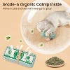 Potaroma Cat Toys US-Dollar Catnip Crinkly Sound Toy - 3 of 3