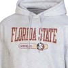 NCAA Florida State Seminoles Gray Fleece Hooded Sweatshirt - 3 of 3