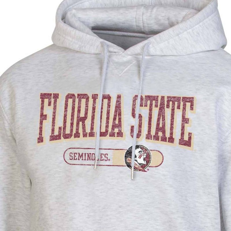NCAA Florida State Seminoles Gray Fleece Hooded Sweatshirt, 3 of 4