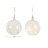 Storied Home Large Botanical Glow LED Glass Ornament, Clear - 3 of 3