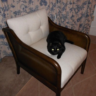 Guest review image 1 of 1, zoom in