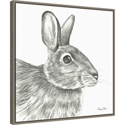 Graphite Rabbit Sketch Framed Canvas Wall Art 22" x 22"