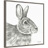 Amanti Art Watercolor Pencil II Rabbit by Kelsey Wilson Canvas Wall Art Print Framed 22-in. x 22-in. - 3 of 4