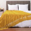 PAVILIA Chenille Throw Blanket with Woven Knitted Tassel Fringe for Couch, Living Room Decor and Bed - 2 of 4