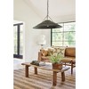 Troy Lighting Arcane 1 - Light Pendant in  Patina Brass/Graphite - 3 of 3