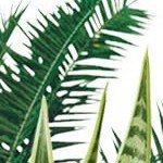 oval 8*2*1.5ft olive green