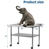 Stainless Steel Work Table 24" x 60" with Undershelf, [NSF Certified][Heavy Duty]Kitchen Prep Table for Home, Restaurant, Hotel, Silver - 3 of 4