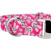 Country Brook Petz Premium Dog Collar - Spring Collection - 4 of 4
