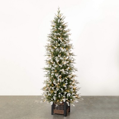 7' Sullivans Potted Lit Snowy Pine Tree, Green