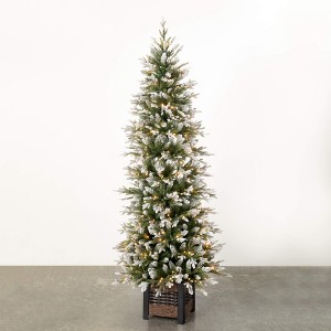 7' Sullivans Potted Lit Snowy Pine Tree, Green - 1 of 4