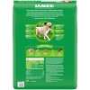 IAMS Proactive Health Chicken and Whole Grain Flavor Large Breed Adult Dry Dog Food - 2 of 4