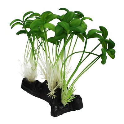Multipet Komodo Sprouts