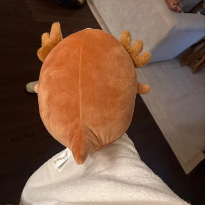 Squishmallows 8 Brown Gingerbread Axolot Little Plush : Target