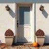 poetree 24 in Artificial Boxwood Topiary Ball Fall Decor Tree in Pot 2 Pack-Faux Shrubs for Indoor/Outdoor Decor - 4 of 4