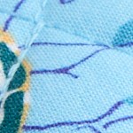 sea turtles and coral