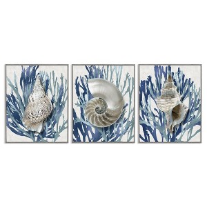 Stupell Industries Trio of Shells & Coral, 11" x 14" - 1 of 4