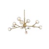 Elegant Lighting Graham 12 - Light Pendant in  Gold - 4 of 4