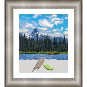 Amanti Art Imperial Silver Picture Frame - 1 of 4