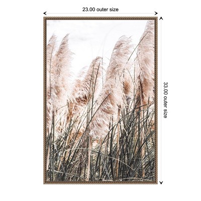 Pampas Grass Photography on Canvas with Bronze Frame
