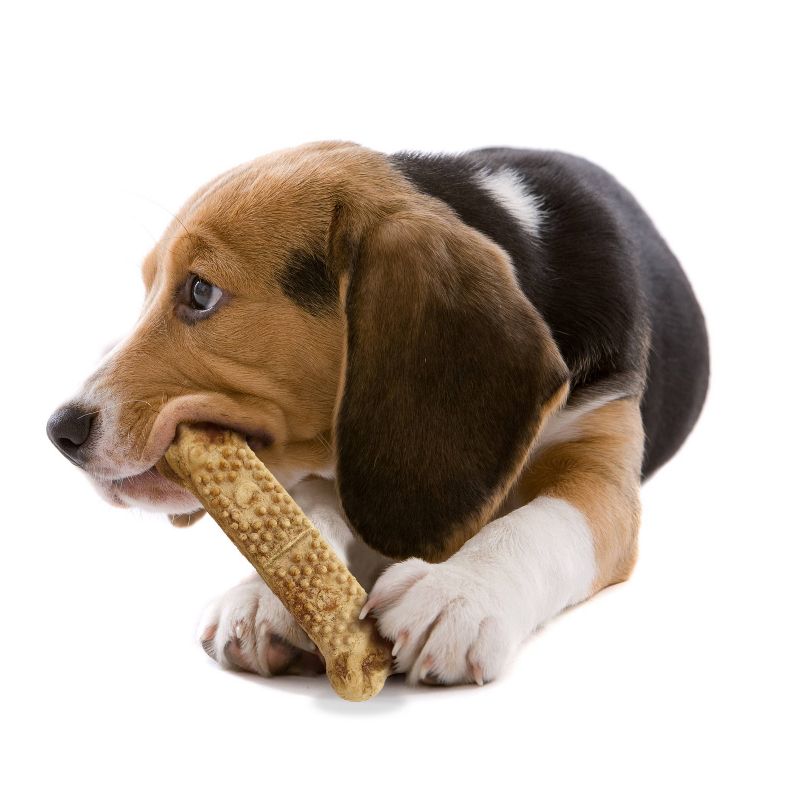 Nylabone Nubz Bacon Twin Pack Jumbo Dog Chews Dental Dog Treats - 6oz, 4 of 9