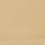 camel gold