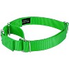 Country Brook Design Martingale Heavyduty Nylon Dog Collar and Double Handle Leash - 2 of 4