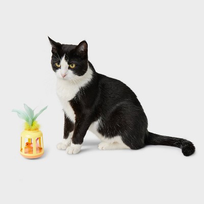 Cat Supplies Target