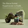 Gaia Herbs Ashwagandha Root - Supports a Healthy Response to Stress, the Immune System, and Restful Sleep - 3 of 4