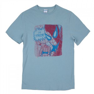 Adult Spider-Man I'm Amazing T-Shirt by Junk Food - 1 of 2