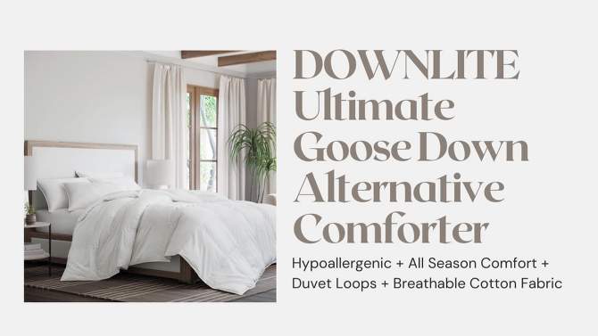 Lightweight Goose Down Alternative Comforter Queen White - DOWNLITE, 2 of 5, play video